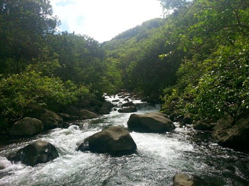 Iao Valley Stream