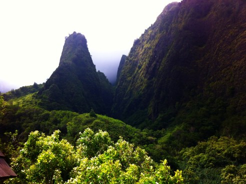 Iao Valley Needle