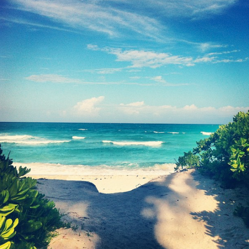 Screen shot 2014-06-05 at 11.08.18 AM