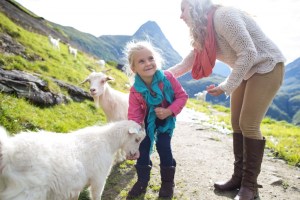 ABD_Norway-Farm-1024x683